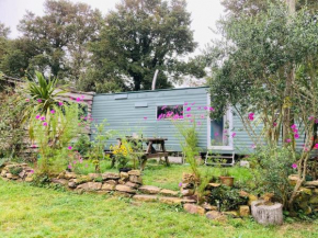 Olive's Cabin